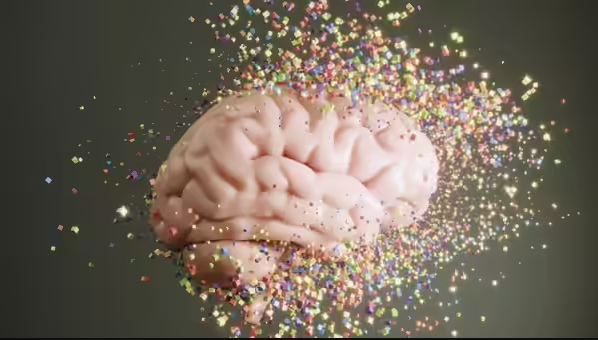 Microplastics in the brain
